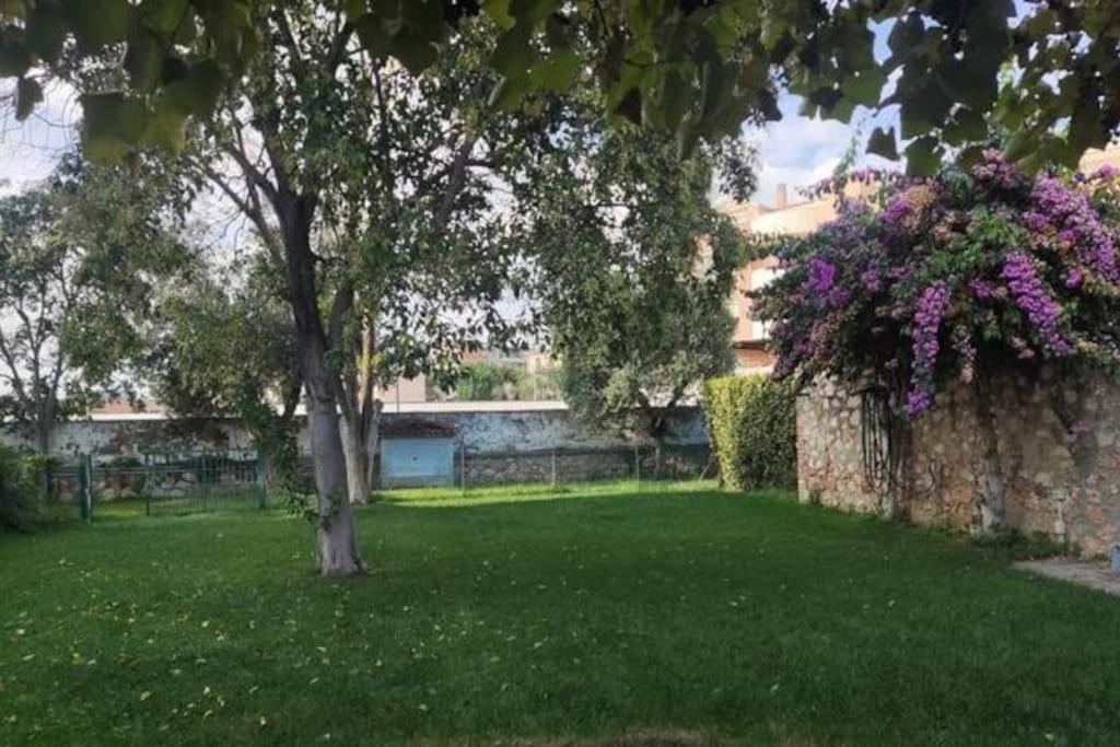 Home Garden Grosseto Esterno foto