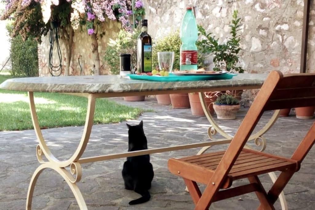 Home Garden Grosseto Esterno foto
